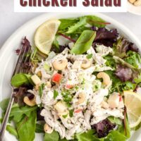 Pinterest pin with text overlay "the best dairy-free chicken salad".