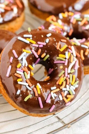 Chocolate covered donut with sprinkles.