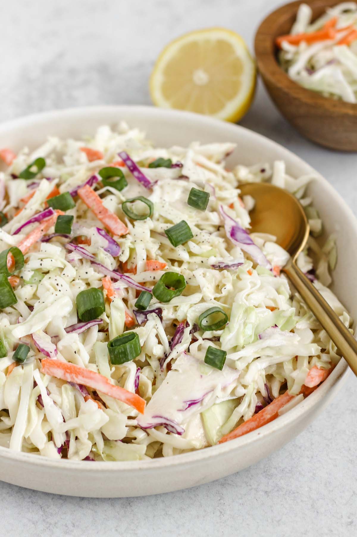 Creamy coleslaw topped with green onions in a serving bowl.