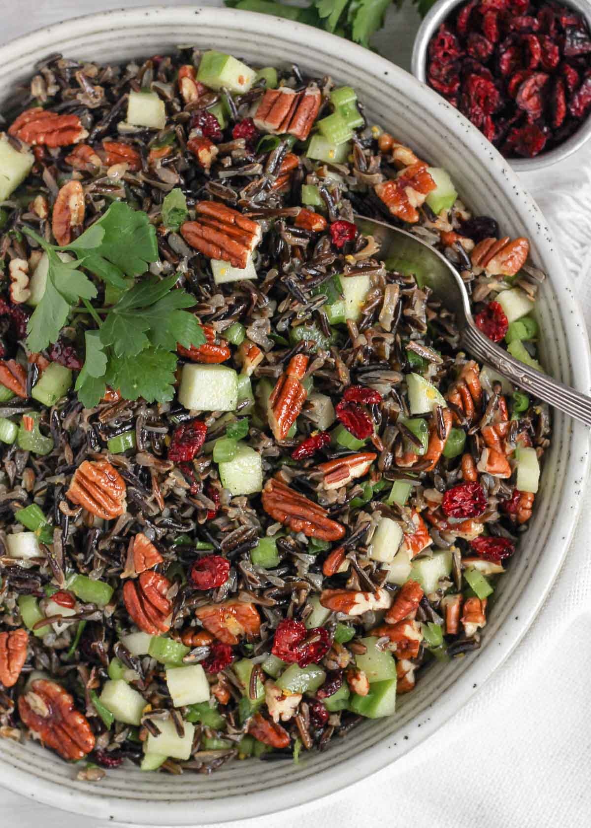 Wild rice salad in a ceramic serving bowl with a vintage serving spoon in the salad and a small dish of dried cranberries on the side.