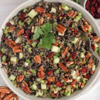 Wild rice salad with pecans, dried cranberries, and apples in a ceramic serving bowl with a vintage serving spoon in the salad.