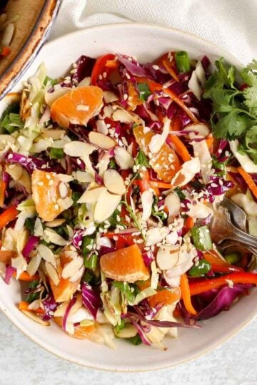 Asian cabbage salad sprinkled with sesame seeds and fresh cilantro in a small white bowl with two vintage forks.