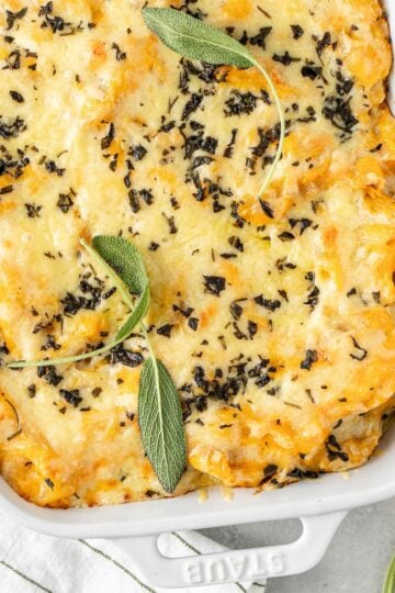 Baked butternut squash mac and cheese topped with melted cheese and fresh sage in a rectangular baking dish.