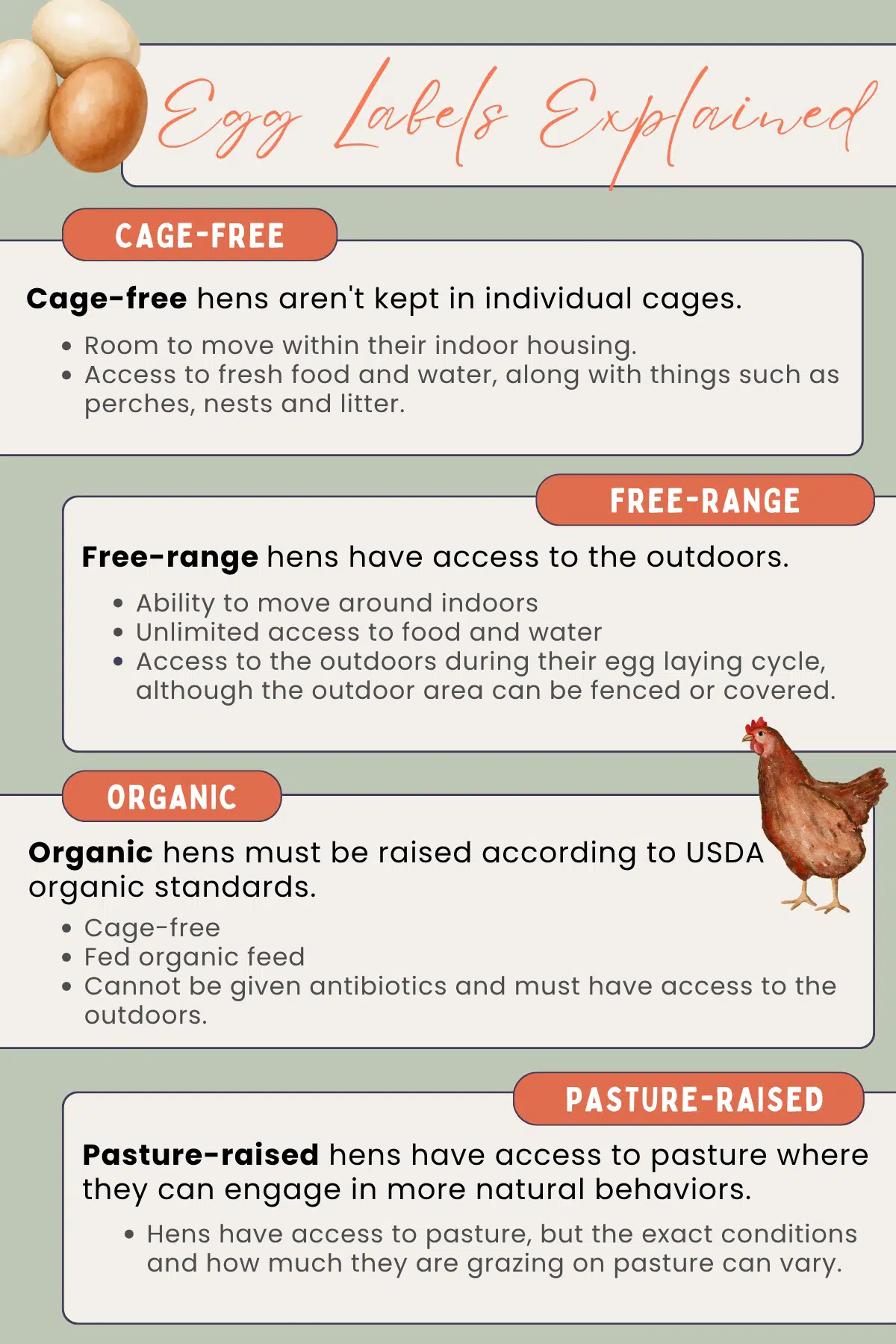 Infographic explaining different egg labels and what they mean.