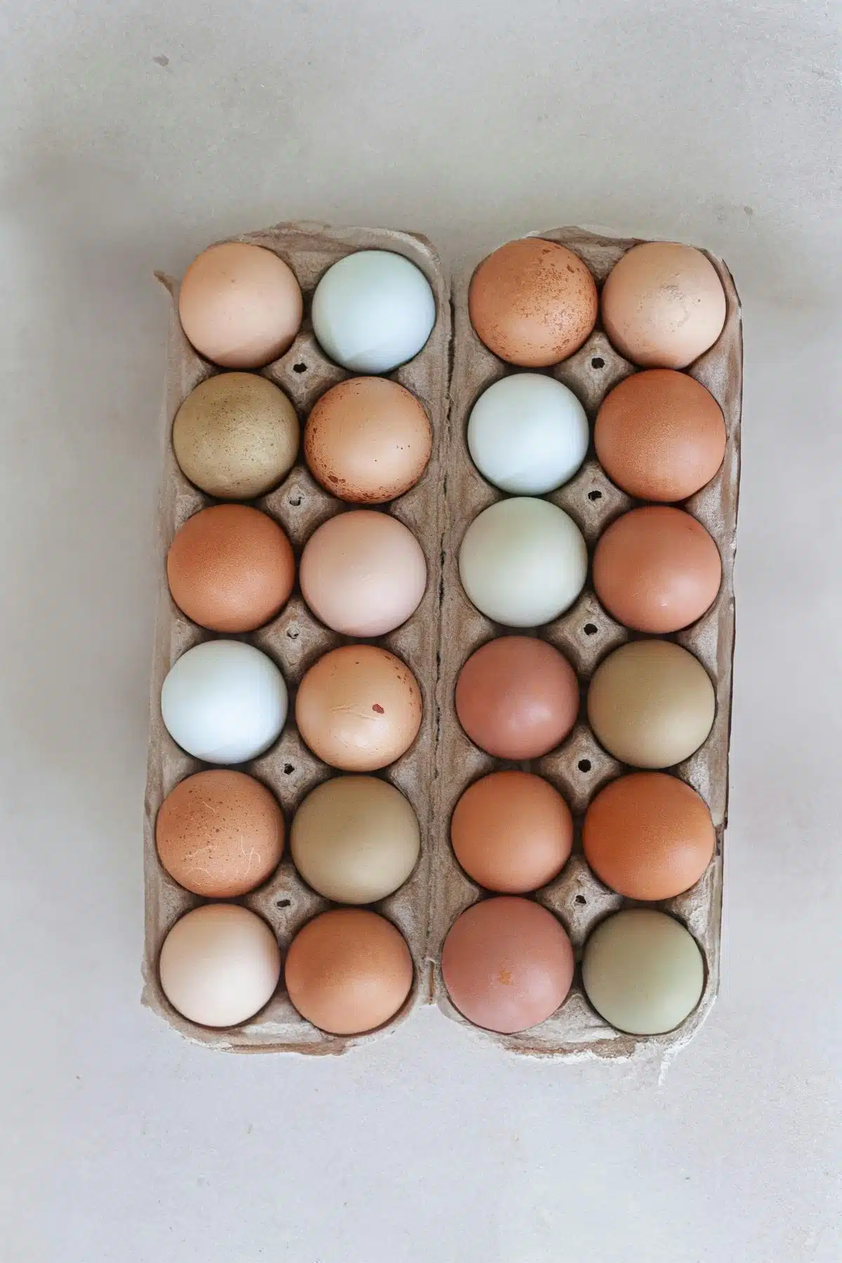 2 dozen multi-colored eggs in cardboard cartons.